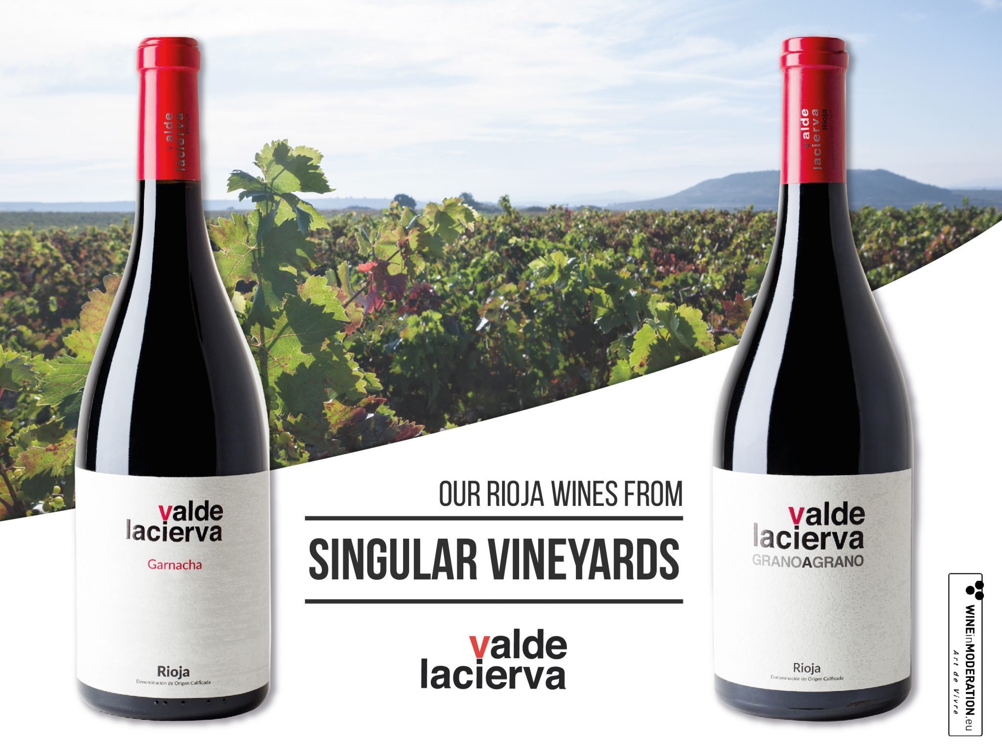Valdelacierva-Grano-a-Grano-y-Garnacha-Viñedo-Singular-Rioja-vino